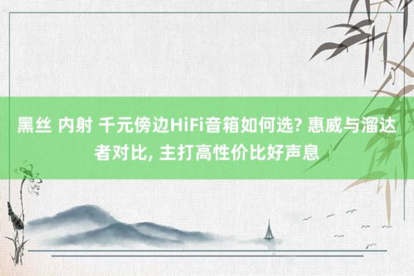 黑丝 内射 千元傍边HiFi音箱如何选? 惠威与溜达者对比, 主打高性价比好声息