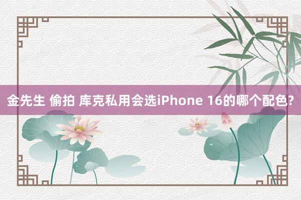 金先生 偷拍 库克私用会选iPhone 16的哪个配色?