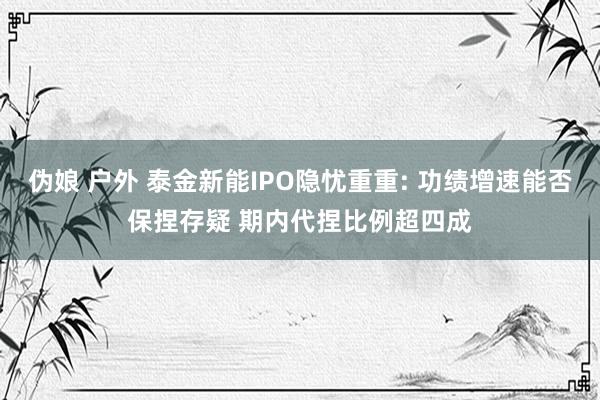 伪娘 户外 泰金新能IPO隐忧重重: 功绩增速能否保捏存疑 期内代捏比例超四成