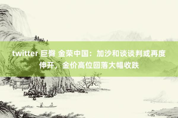 twitter 巨臀 金荣中国：加沙和谈谈判或再度伸开，金价高位回落大幅收跌