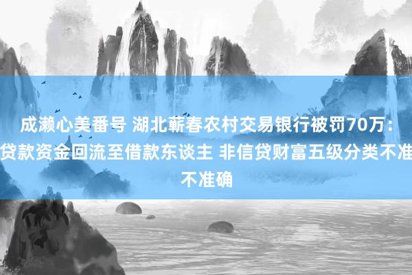 成濑心美番号 湖北蕲春农村交易银行被罚70万：因贷款资金回流至借款东谈主 非信贷财富五级分类不准确