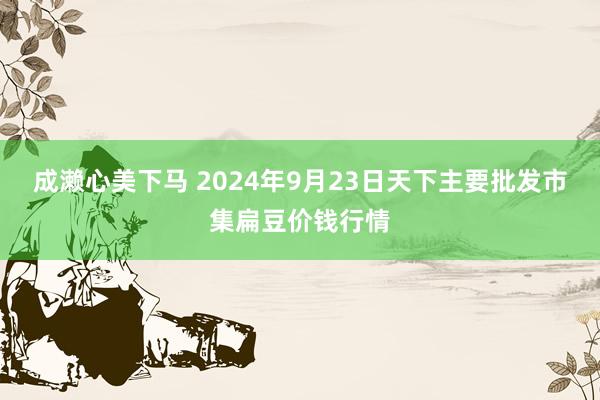 成濑心美下马 2024年9月23日天下主要批发市集扁豆价钱行情