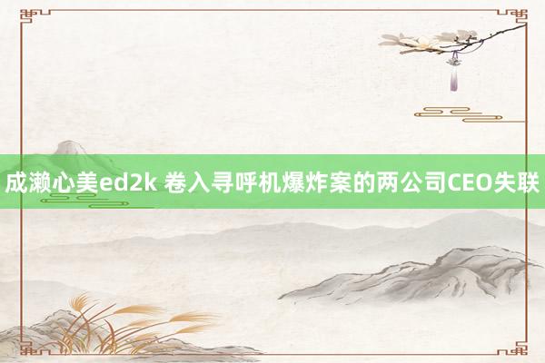 成濑心美ed2k 卷入寻呼机爆炸案的两公司CEO失联