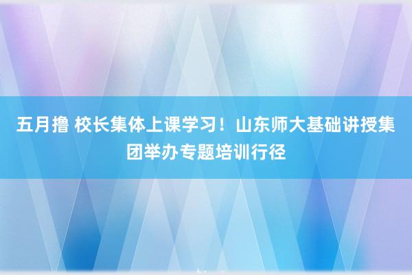 五月撸 校长集体上课学习！山东师大基础讲授集团举办专题培训行径