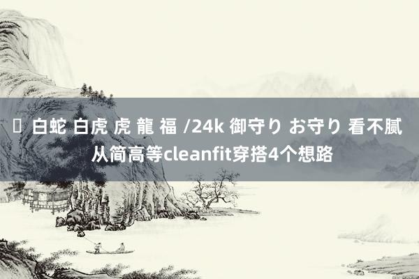 ✨白蛇 白虎 虎 龍 福 /24k 御守り お守り 看不腻  从简高等cleanfit穿搭4个想路