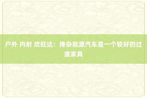 户外 内射 欣旺达：搀杂能源汽车是一个较好的过渡家具