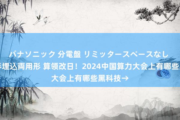 パナソニック 分電盤 リミッタースペースなし 露出・半埋込両用形 算领改日！2024中国算力大会上有哪些黑科技→