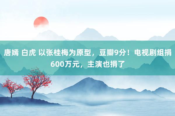 唐嫣 白虎 以张桂梅为原型，豆瓣9分！电视剧组捐600万元，主演也捐了