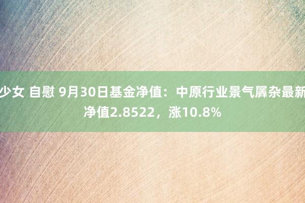 少女 自慰 9月30日基金净值：中原行业景气羼杂最新净值2.8522，涨10.8%