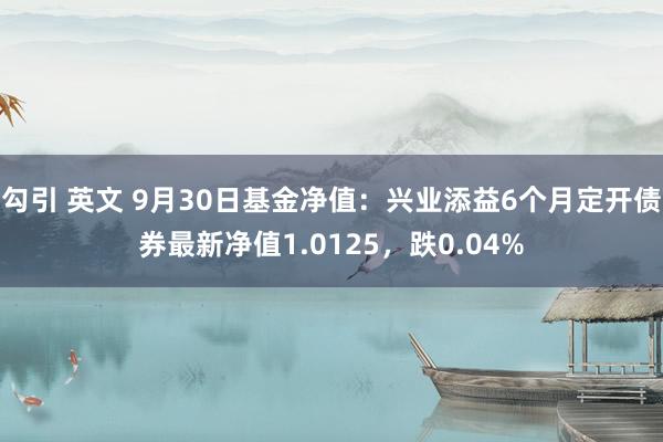 勾引 英文 9月30日基金净值：兴业添益6个月定开债券最新净值1.0125，跌0.04%