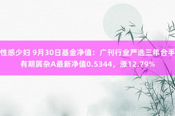 性感少妇 9月30日基金净值：广刊行业严选三年合手有期羼杂A最新净值0.5344，涨12.79%