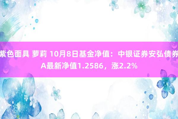 紫色面具 萝莉 10月8日基金净值：中银证券安弘债券A最新净值1.2586，涨2.2%