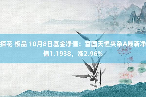 探花 极品 10月8日基金净值：富国天恒夹杂A最新净值1.1938，涨2.96%