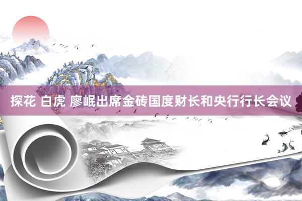 探花 白虎 廖岷出席金砖国度财长和央行行长会议