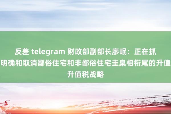 反差 telegram 财政部副部长廖岷：正在抓紧连络明确和取消鄙俗住宅和非鄙俗住宅圭臬相衔尾的升值税战略