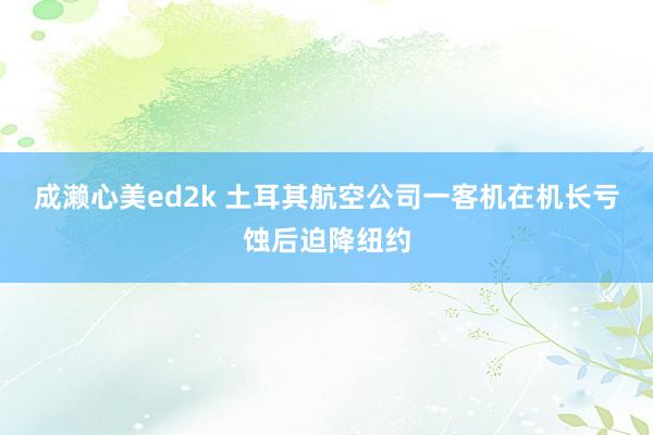 成濑心美ed2k 土耳其航空公司一客机在机长亏蚀后迫降纽约