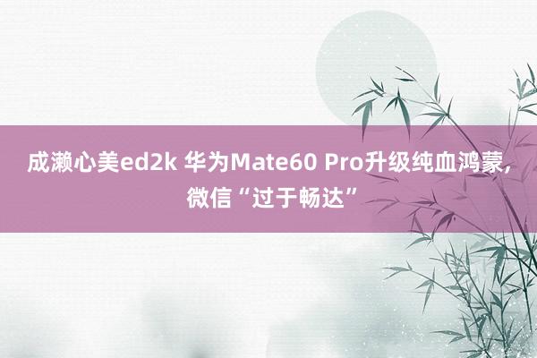 成濑心美ed2k 华为Mate60 Pro升级纯血鸿蒙， 微信“过于畅达”