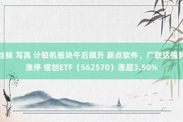 丝袜 写真 计较机板块午后飙升 新点软件、广联达强势涨停 信创ETF（562570）涨超3.50%