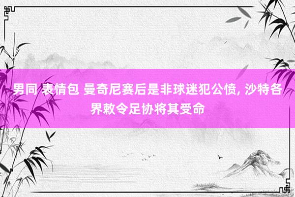 男同 表情包 曼奇尼赛后是非球迷犯公愤， 沙特各界敕令足协将其受命