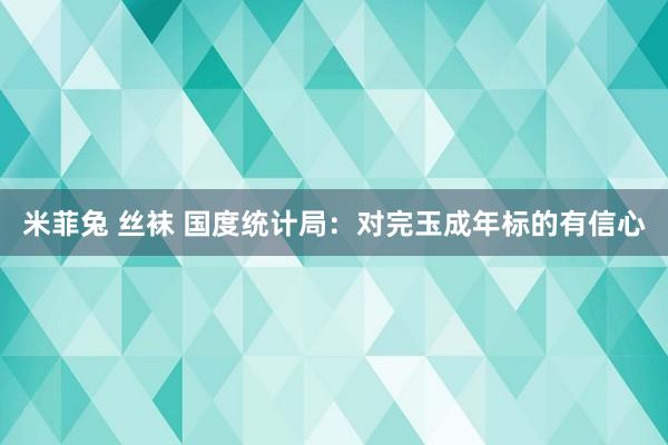 米菲兔 丝袜 国度统计局：对完玉成年标的有信心