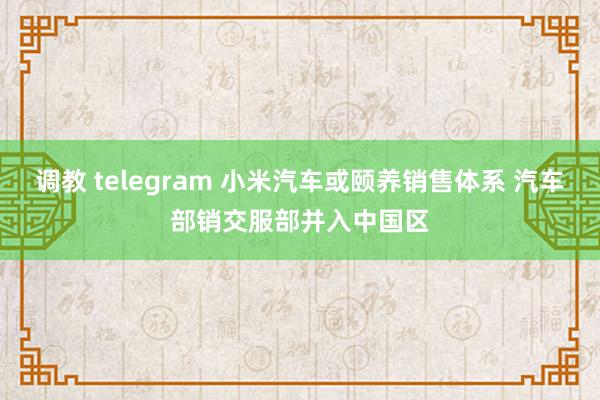 调教 telegram 小米汽车或颐养销售体系 汽车部销交服部并入中国区