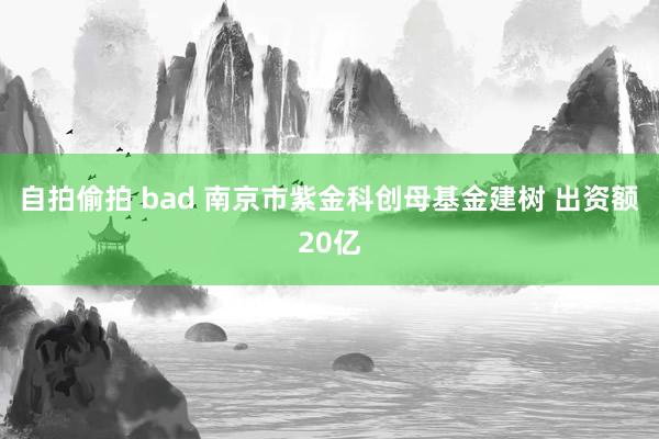 自拍偷拍 bad 南京市紫金科创母基金建树 出资额20亿