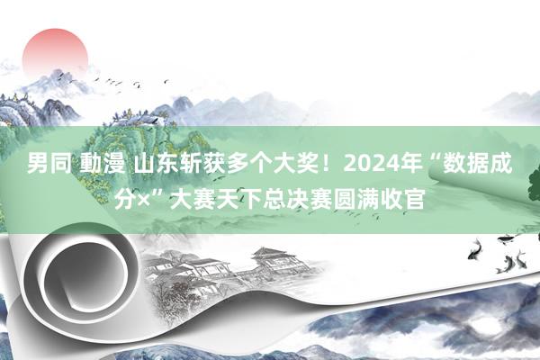 男同 動漫 山东斩获多个大奖！2024年“数据成分×”大赛天下总决赛圆满收官