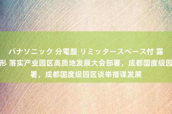 パナソニック 分電盤 リミッタースペース付 露出・半埋込両用形 落实产业园区高质地发展大会部署，成都国度级园区谈举措谋发展