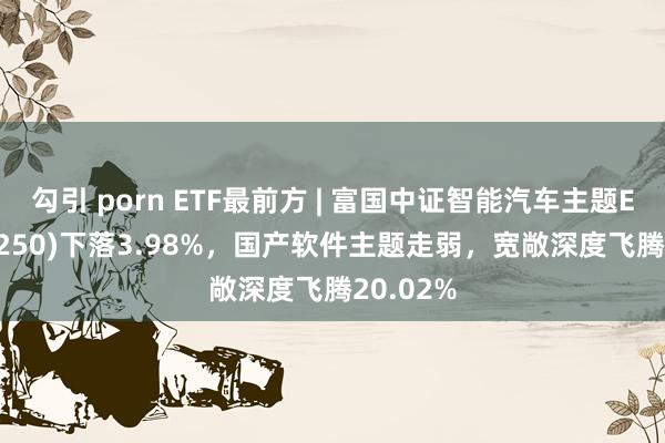 勾引 porn ETF最前方 | 富国中证智能汽车主题ETF(515250)下落3.98%，国产软件主题走弱，宽敞深度飞腾20.02%