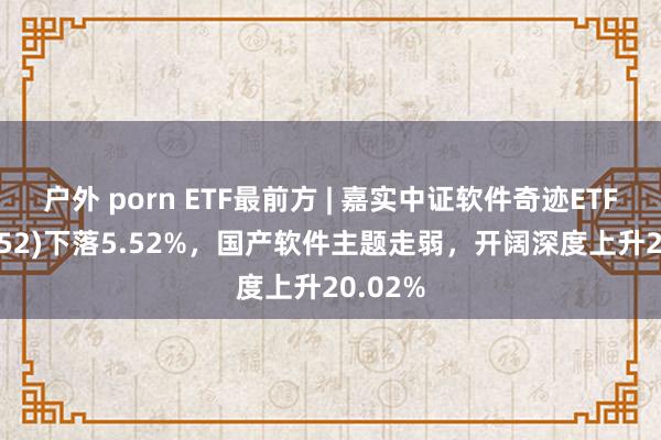 户外 porn ETF最前方 | 嘉实中证软件奇迹ETF(159852)下落5.52%，国产软件主题走弱，开阔深度上升20.02%