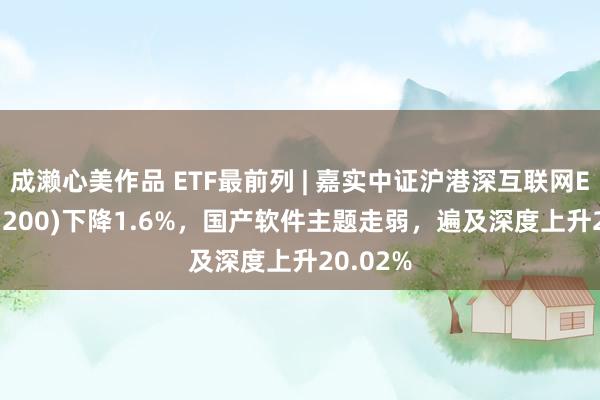 成濑心美作品 ETF最前列 | 嘉实中证沪港深互联网ETF(517200)下降1.6%，国产软件主题走弱，遍及深度上升20.02%