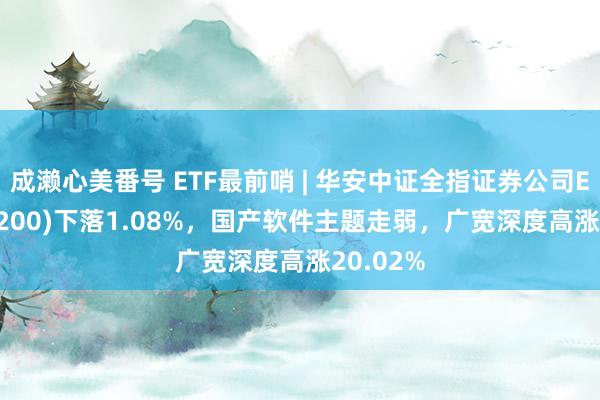 成濑心美番号 ETF最前哨 | 华安中证全指证券公司ETF(516200)下落1.08%，国产软件主题走弱，广宽深度高涨20.02%