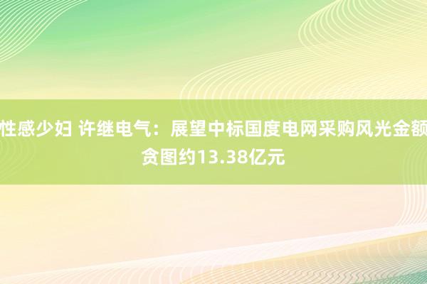 性感少妇 许继电气：展望中标国度电网采购风光金额贪图约13.38亿元