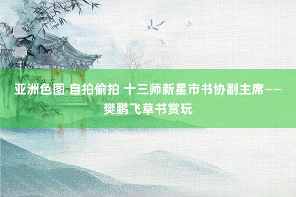 亚洲色图 自拍偷拍 十三师新星市书协副主席——樊鹏飞草书赏玩