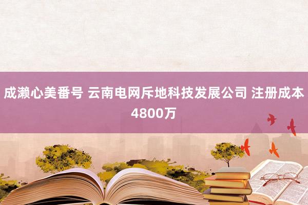 成濑心美番号 云南电网斥地科技发展公司 注册成本4800万