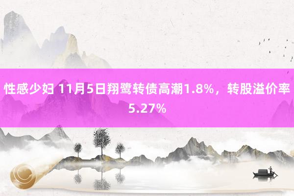 性感少妇 11月5日翔鹭转债高潮1.8%，转股溢价率5.27%