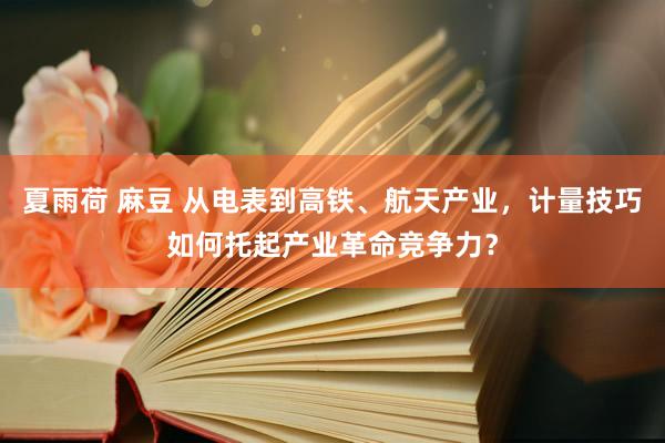 夏雨荷 麻豆 从电表到高铁、航天产业，计量技巧如何托起产业革命竞争力？