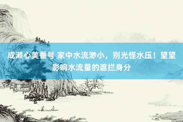 成濑心美番号 家中水流渺小，别光怪水压！望望影响水流量的遮拦身分