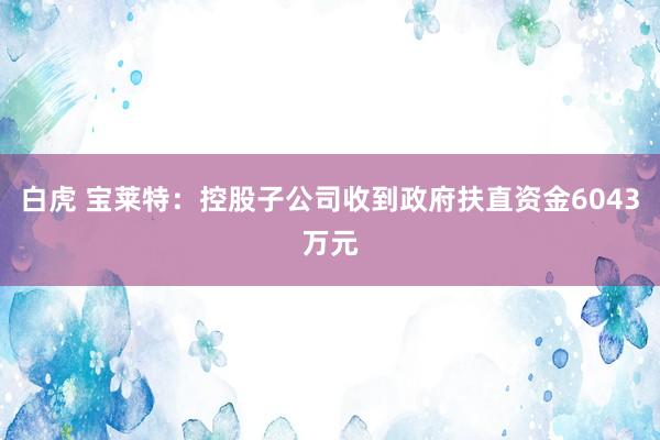 白虎 宝莱特：控股子公司收到政府扶直资金6043万元