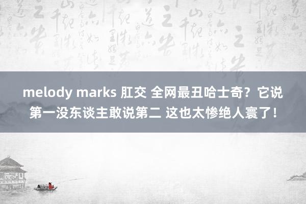 melody marks 肛交 全网最丑哈士奇？它说第一没东谈主敢说第二 这也太惨绝人寰了！