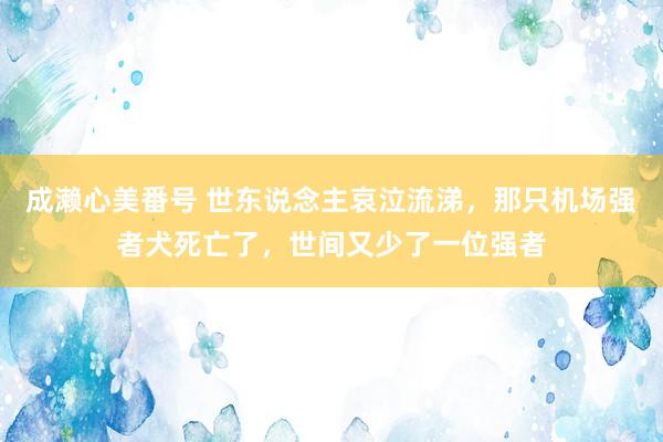 成濑心美番号 世东说念主哀泣流涕，那只机场强者犬死亡了，世间又少了一位强者