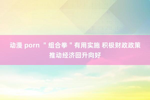 动漫 porn ＂组合拳＂有用实施 积极财政政策推动经济回升向好