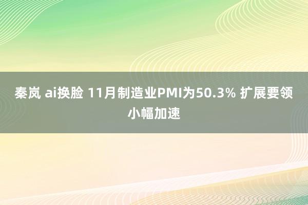 秦岚 ai换脸 11月制造业PMI为50.3% 扩展要领小幅加速