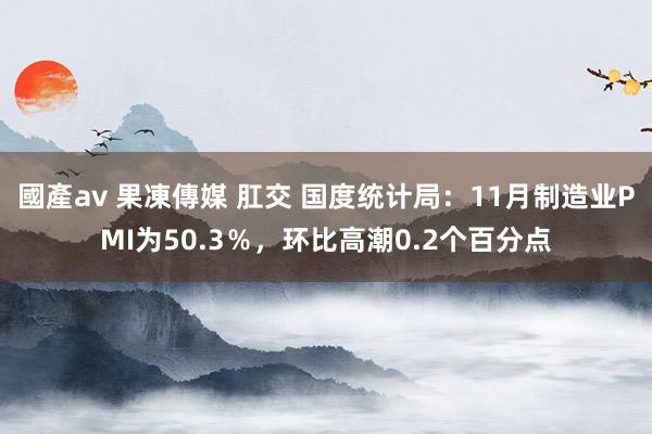 國產av 果凍傳媒 肛交 国度统计局：11月制造业PMI为50.3％，环比高潮0.2个百分点