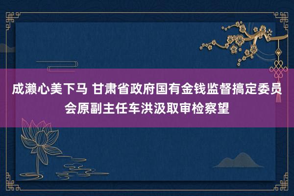 成濑心美下马 甘肃省政府国有金钱监督搞定委员会原副主任车洪汲取审检察望