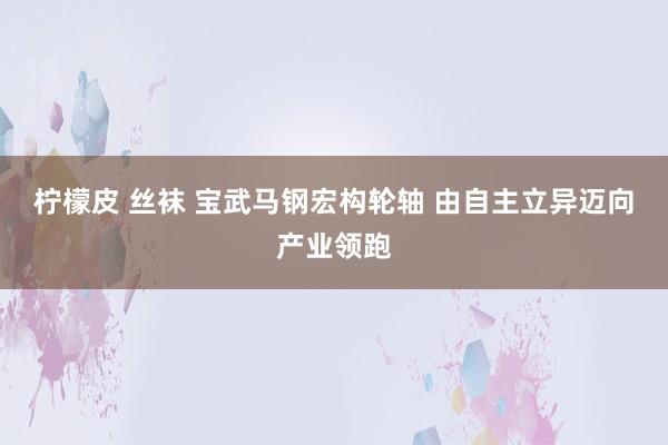 柠檬皮 丝袜 宝武马钢宏构轮轴 由自主立异迈向产业领跑