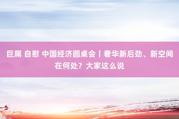 巨屌 自慰 中国经济圆桌会丨奢华新后劲、新空间在何处？大家这么说