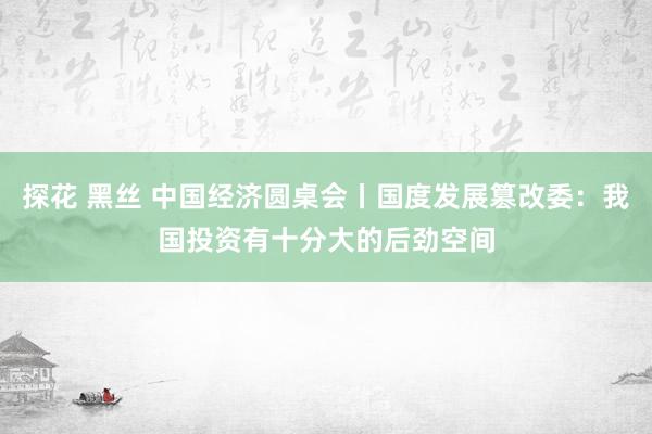 探花 黑丝 中国经济圆桌会丨国度发展篡改委：我国投资有十分大的后劲空间