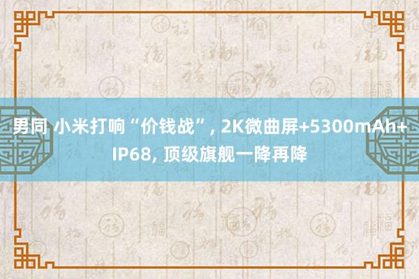 男同 小米打响“价钱战”， 2K微曲屏+5300mAh+IP68， 顶级旗舰一降再降