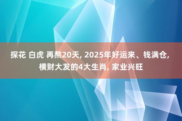 探花 白虎 再熬20天, 2025年好运来、钱满仓, 横财大发的4大生肖, 家业兴旺